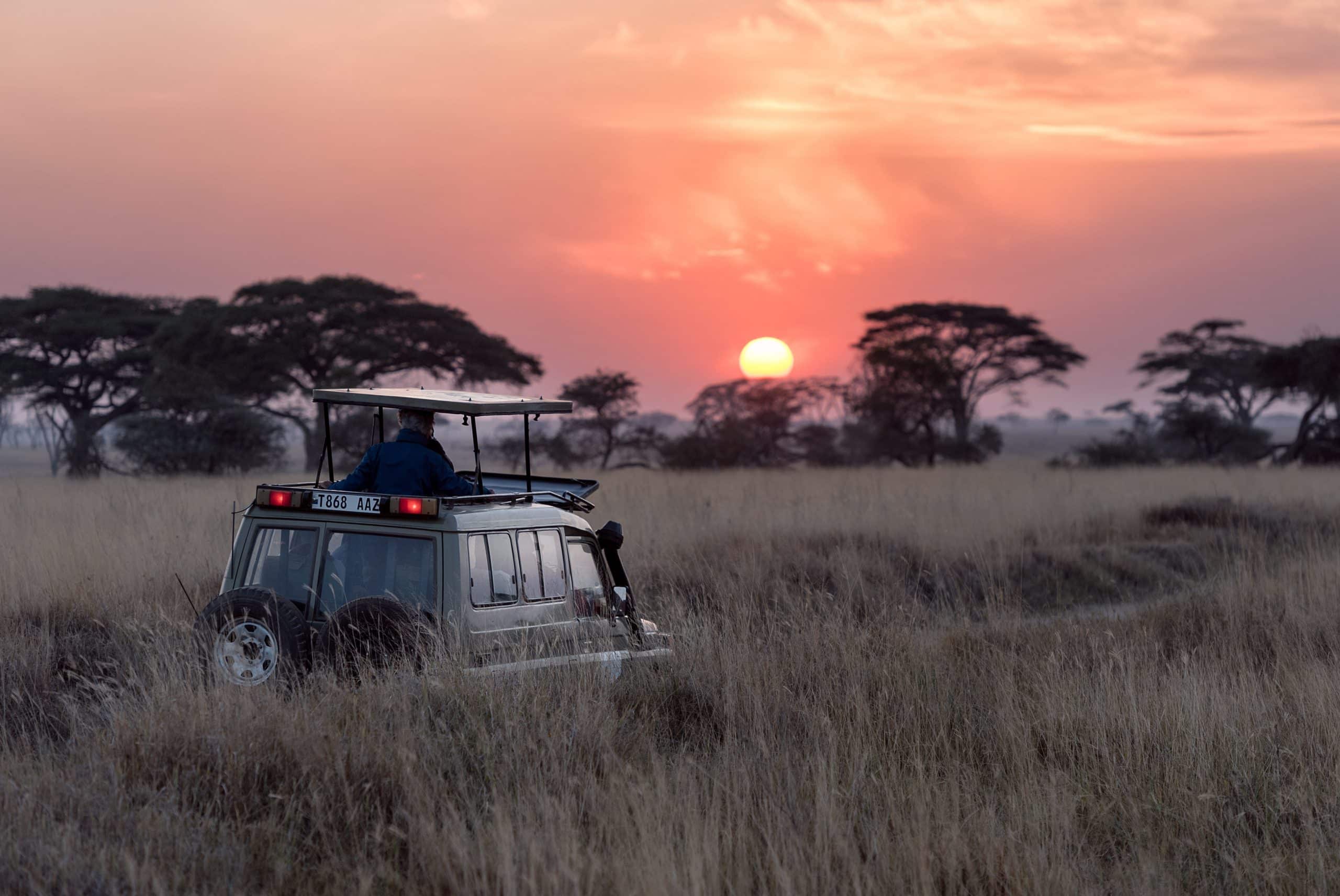 TOP 9 Experiencias de Safari